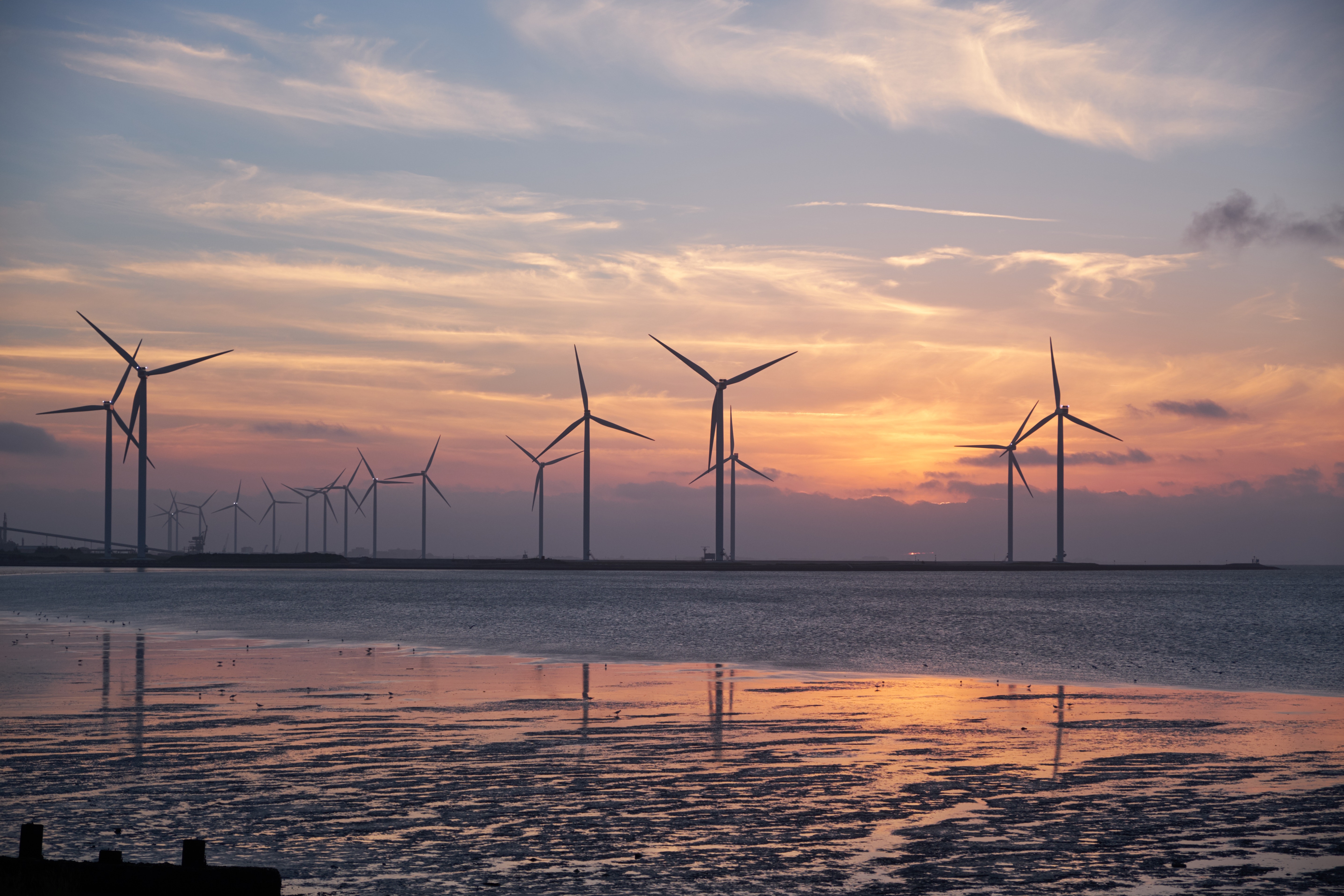 a group of wind turbines in a body of water