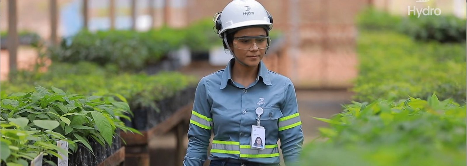 Hydro employee walks watching the seedlings of the company's nursery in Paragominas, Pará