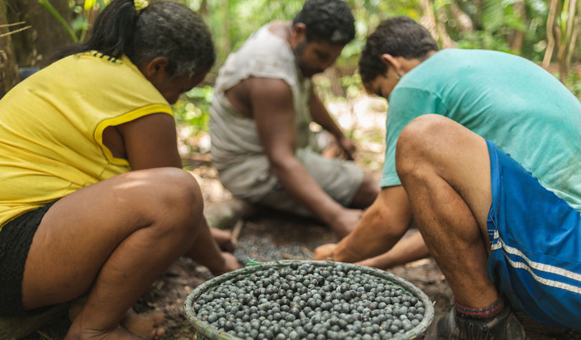 a group of people kneeling on the ground looking at a turtle a group of people kneeling on the ground looking at a turtle